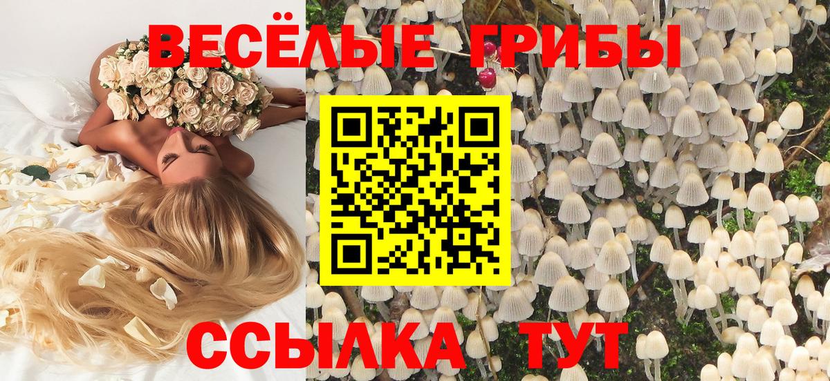 Ростов-на-Дону  Псилоцибиновые грибы мухоморы  Вход с VPN 