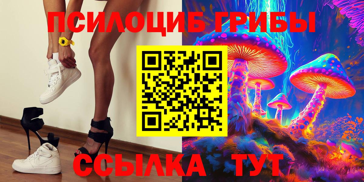 Галлюциногенные грибы Psilocybine cubensis Ростов-на-Дону