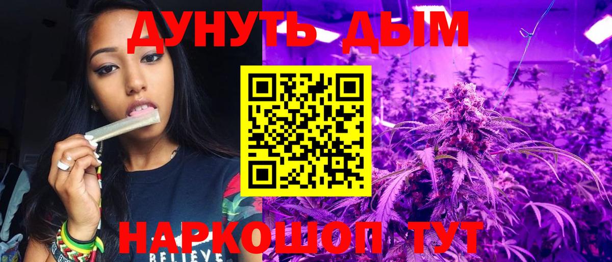 Канабис план  Бошки Шишки ГИДРОПОН  Вход с VPN  Ростов-на-Дону  Конопля AK-47 
